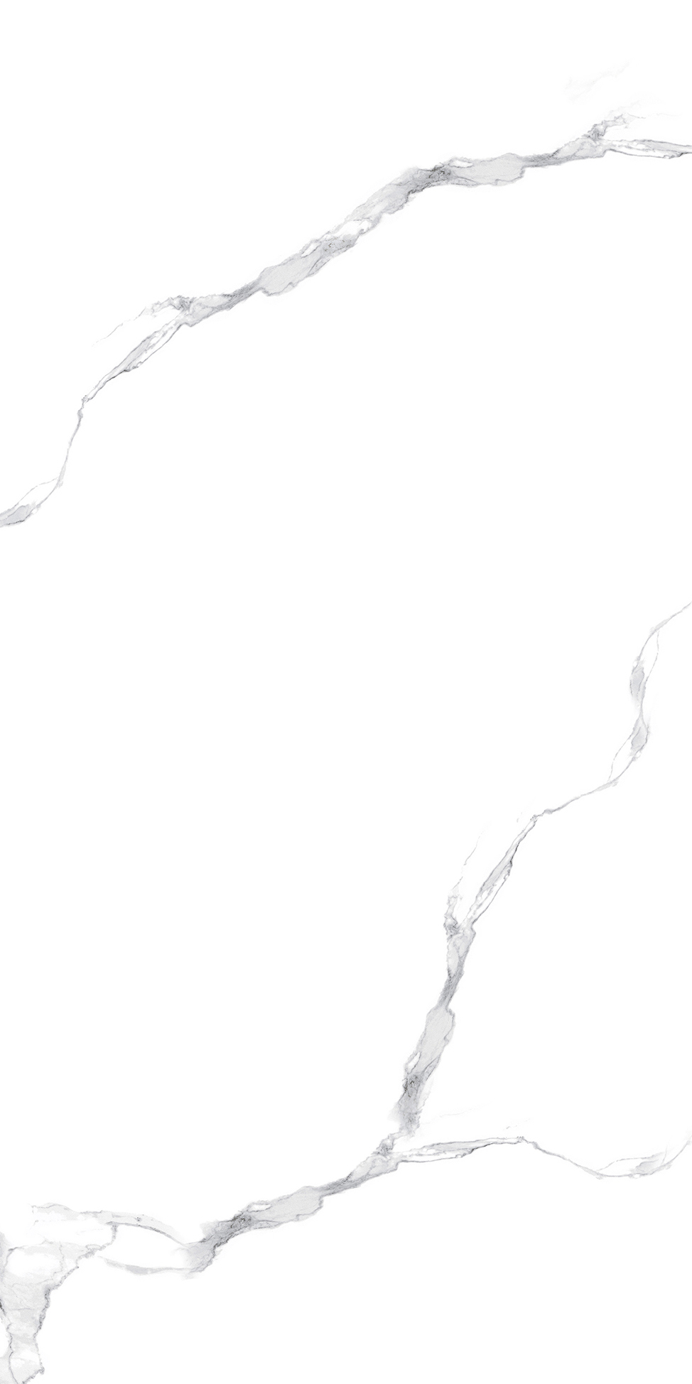 GT126709